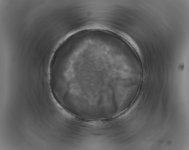 X0000094351388200711301351