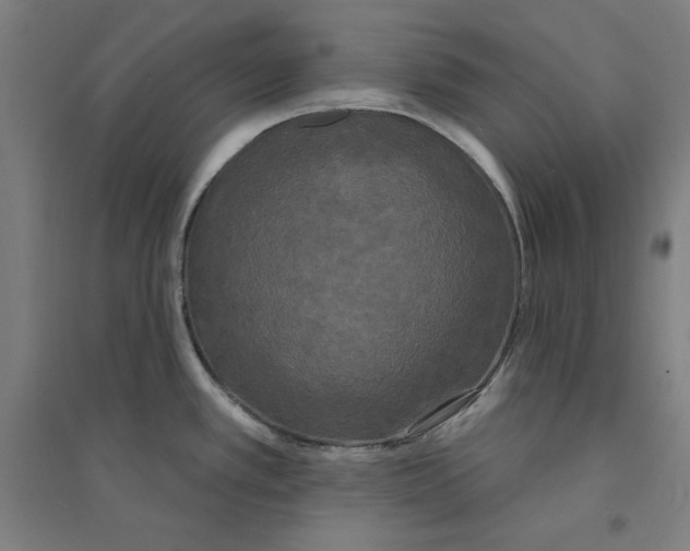 X0000094351389200711301351