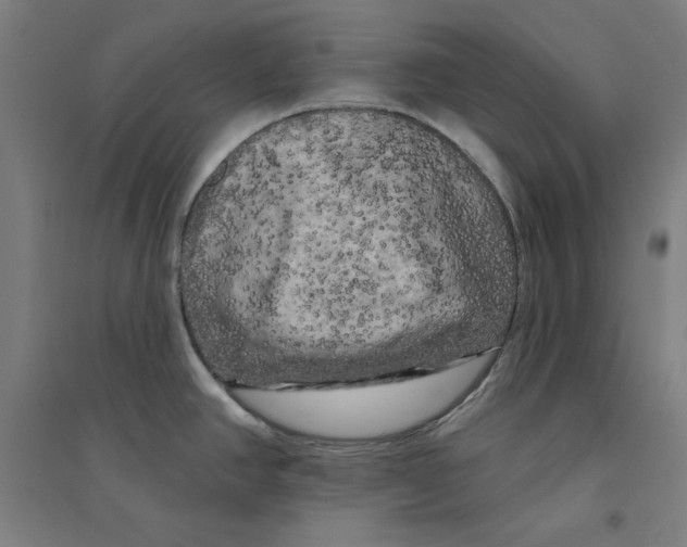 X0000094351390200711301351