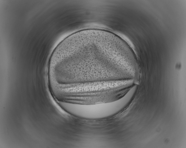 X0000094351391200711301351