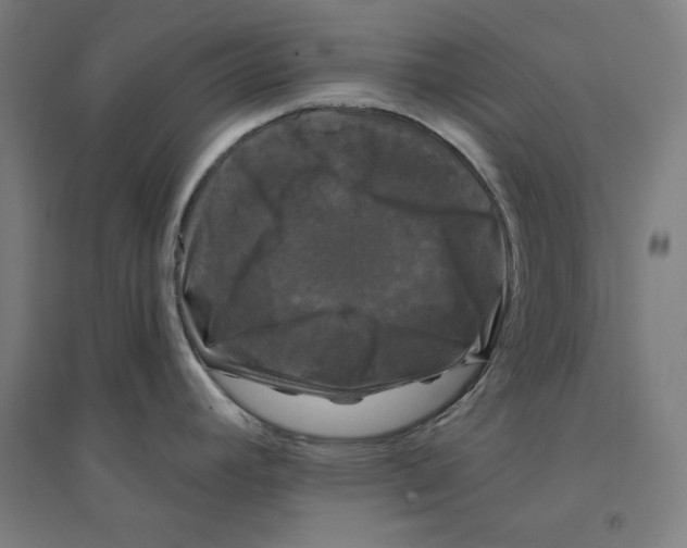 X0000094351392200711301351