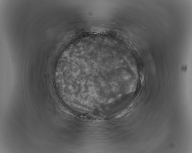 X0000094351393200711301350