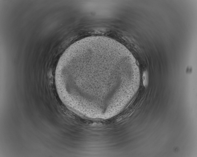 X0000094351395200711301350