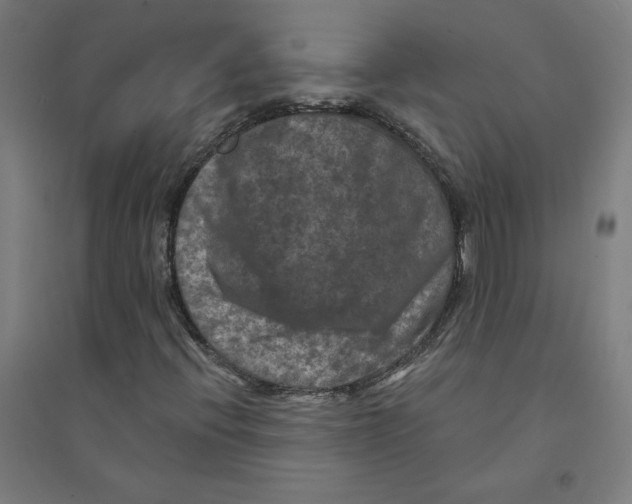 X0000094351396200711301350