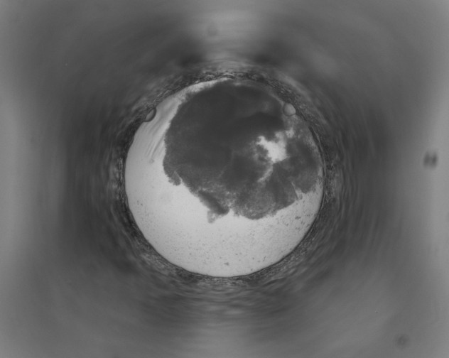 X0000094351397200711301350