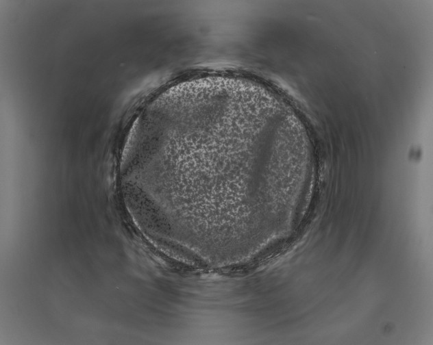 X0000094351398200711301350