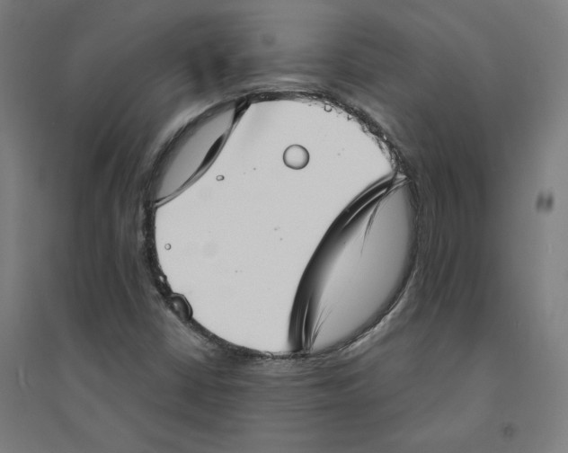 X0000094351402200711301351