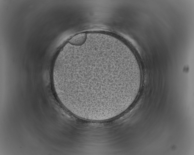 X0000094351407200711301351