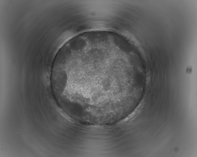 X0000094351409200711301351