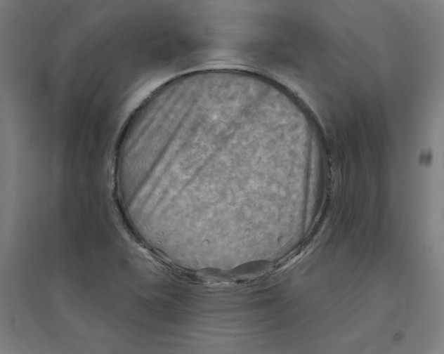 X0000094351415200711301351