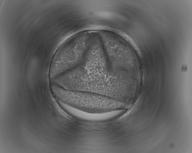 X0000094351417200711301351