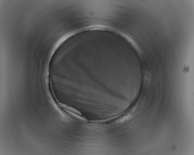 X0000094351418200711301351