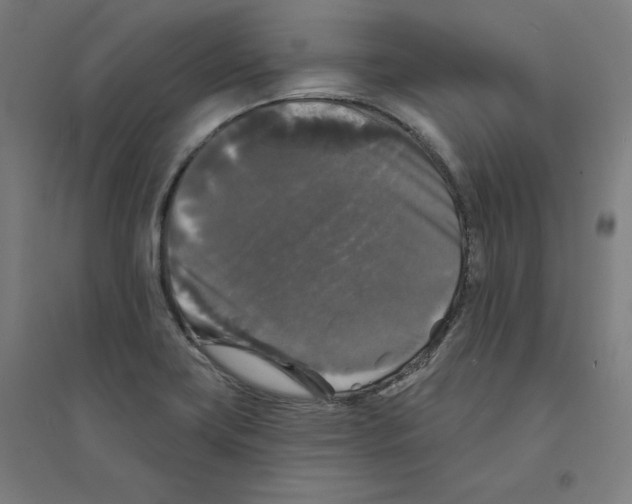 X0000094351419200711301351
