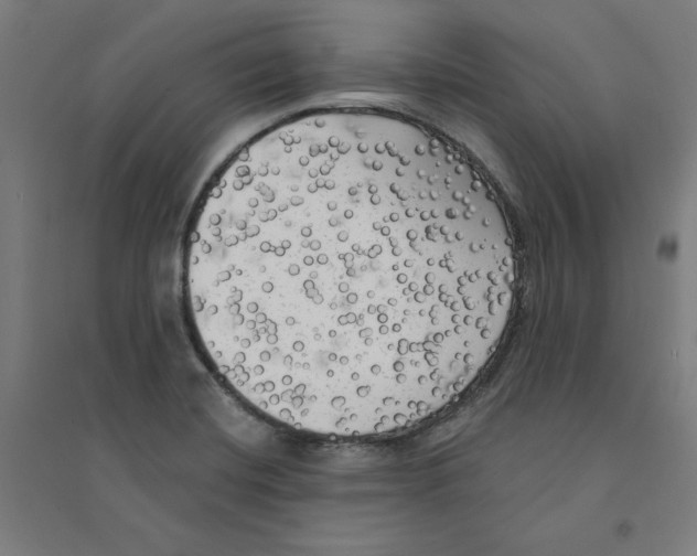 X0000094351420200711301351