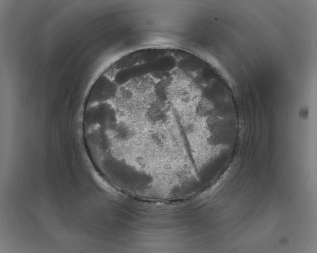 X0000094351421200711301351