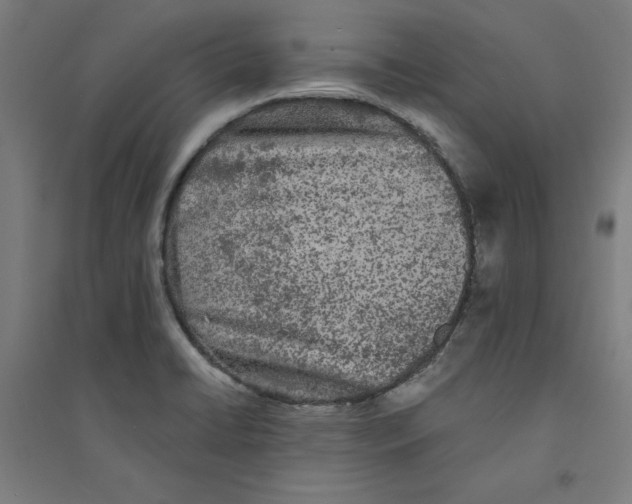 X0000094351422200711301351