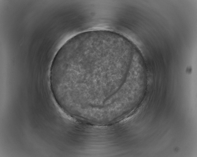X0000094351423200711301351