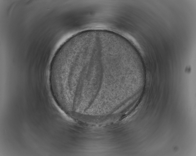 X0000094351424200711301351