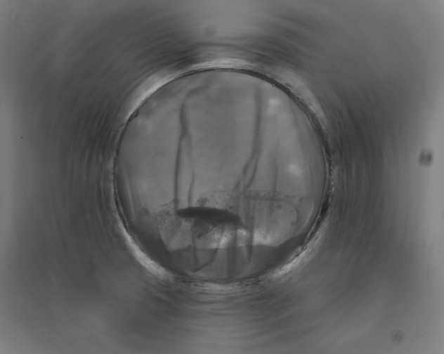 X0000094351425200711301351