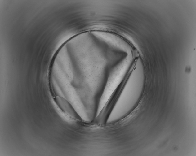 X0000094351426200711301351