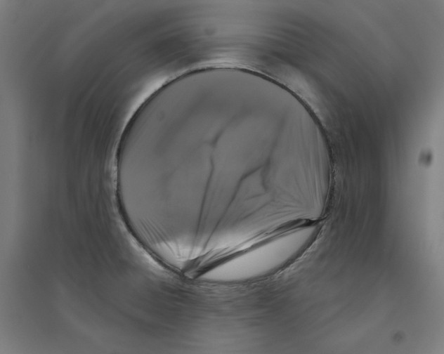 X0000094351428200711301351