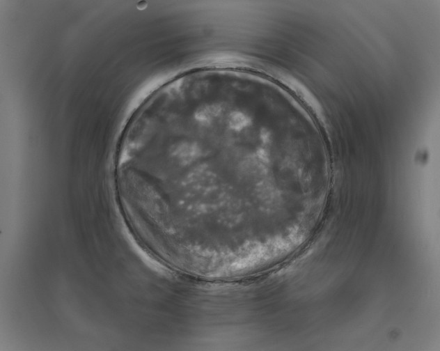 X0000094351429200711301351
