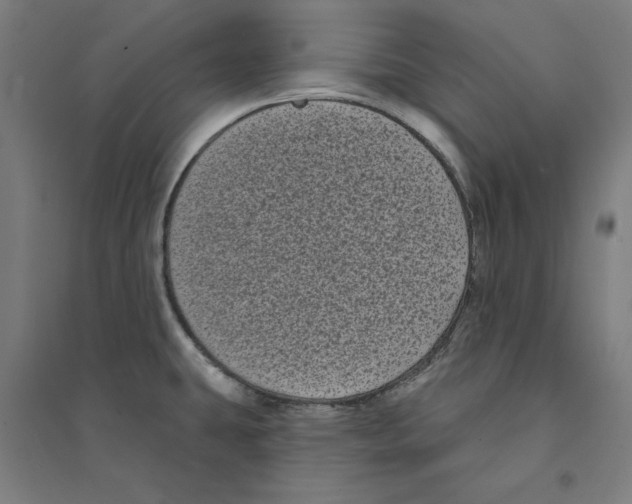 X0000094351431200711301351