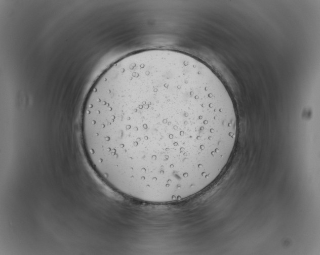 X0000094351432200711301351