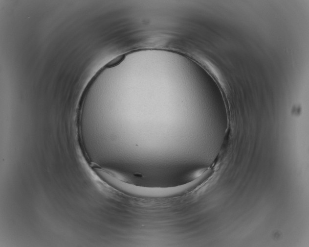 X0000094351434200711301351
