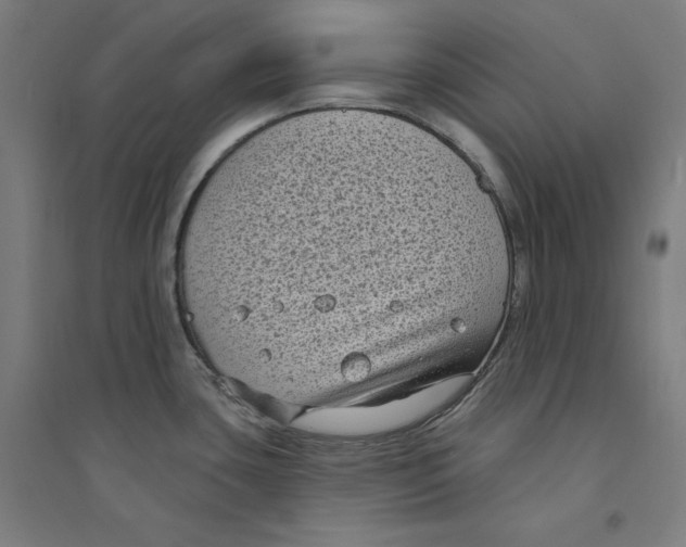 X0000094351435200711301351