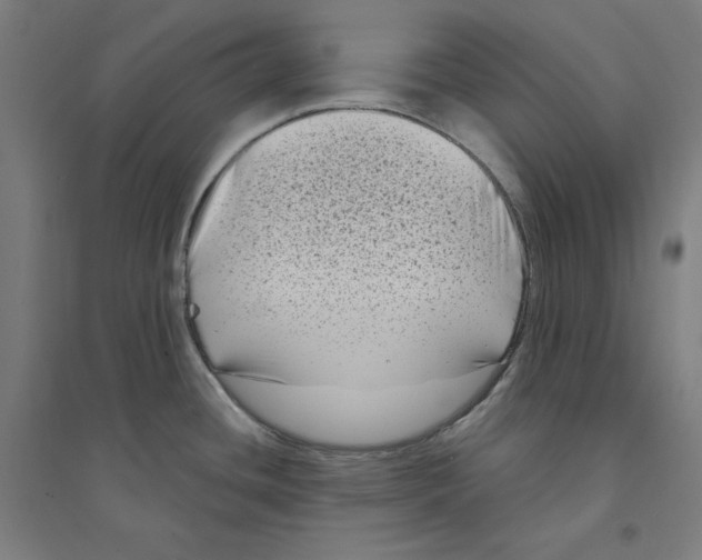 X0000094351436200711301351