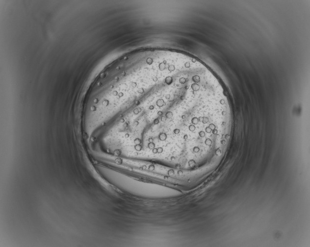 X0000094351437200711301351
