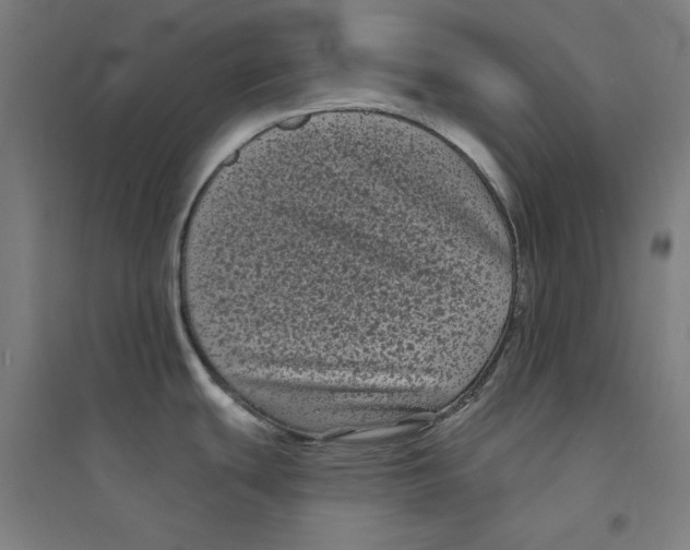 X0000094351439200711301351