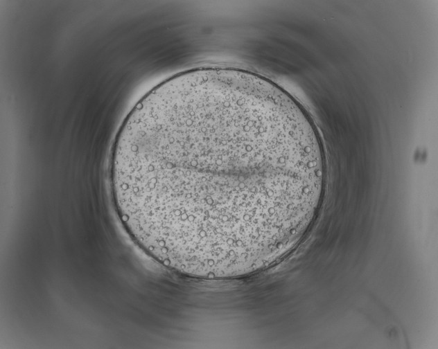 X0000094351440200711301351
