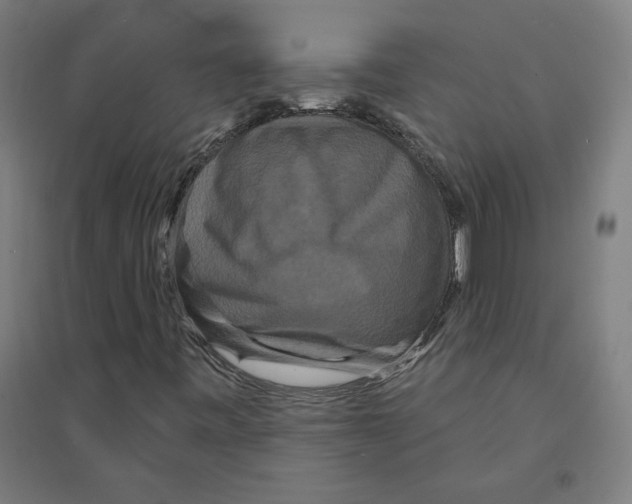 X0000094351443200711301350