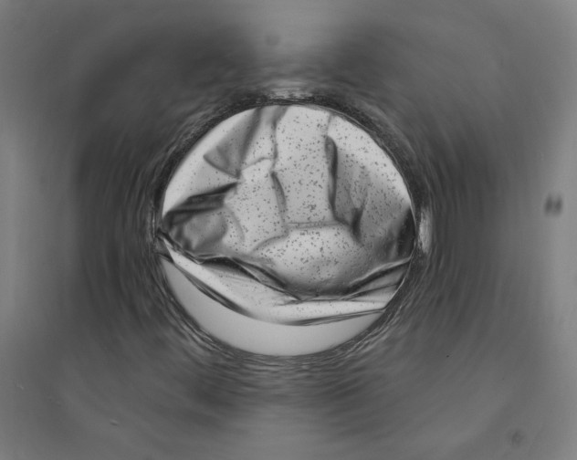 X0000094351444200711301350