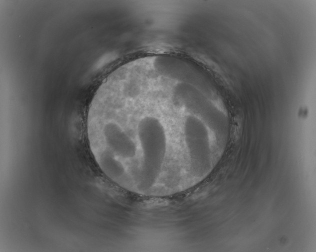 X0000094351446200711301350