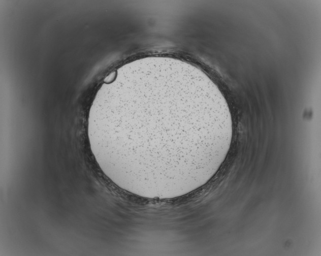 X0000094351447200711301350