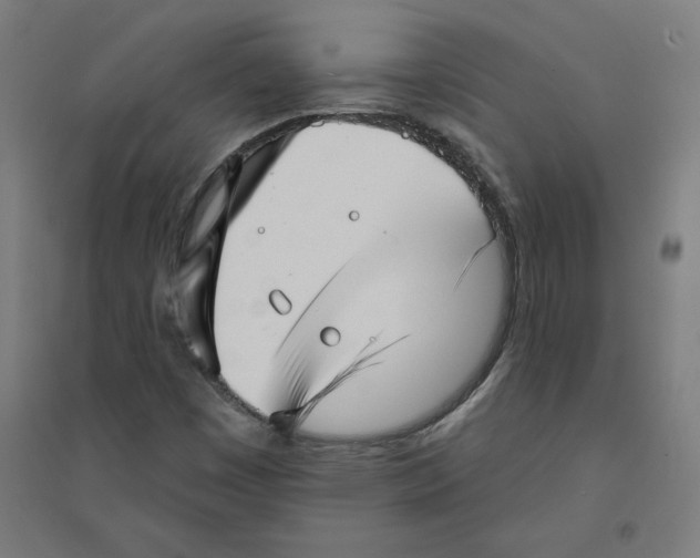 X0000094351449200711301350