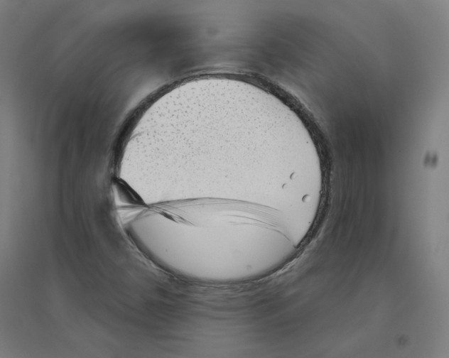 X0000094351450200711301350