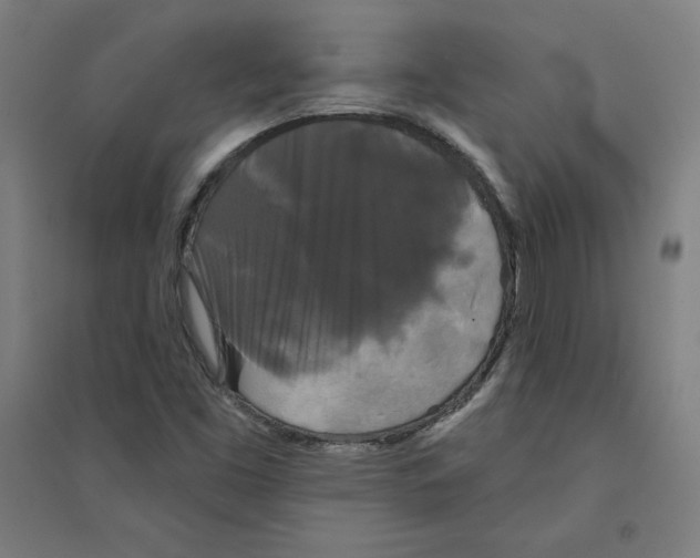 X0000094351453200711301350