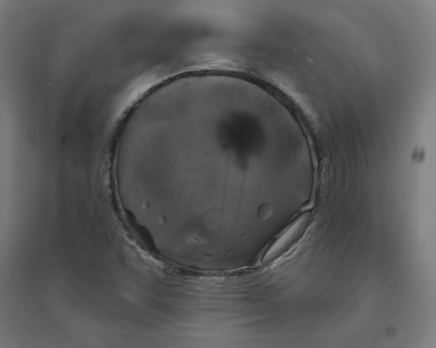 X0000094351455200711301350