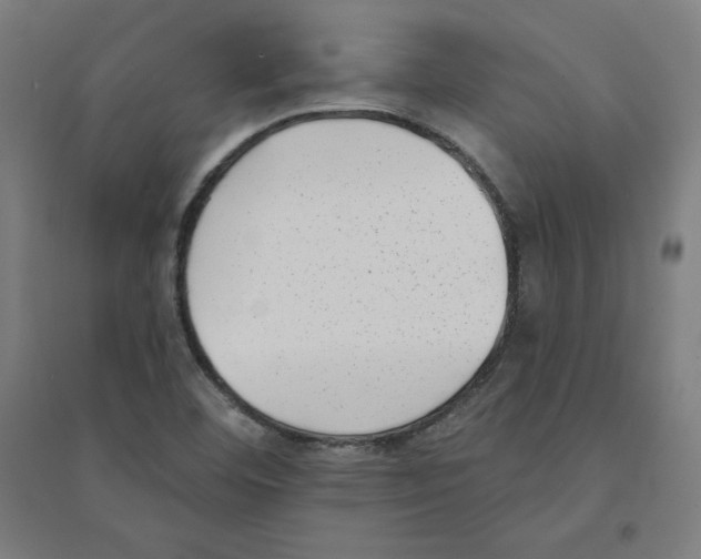 X0000094351460200711301350