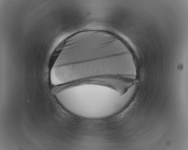 X0000094351461200711301350