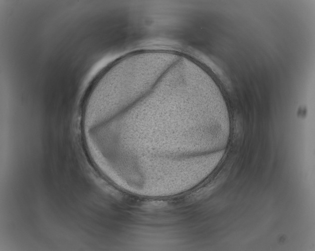 X0000094351462200711301350