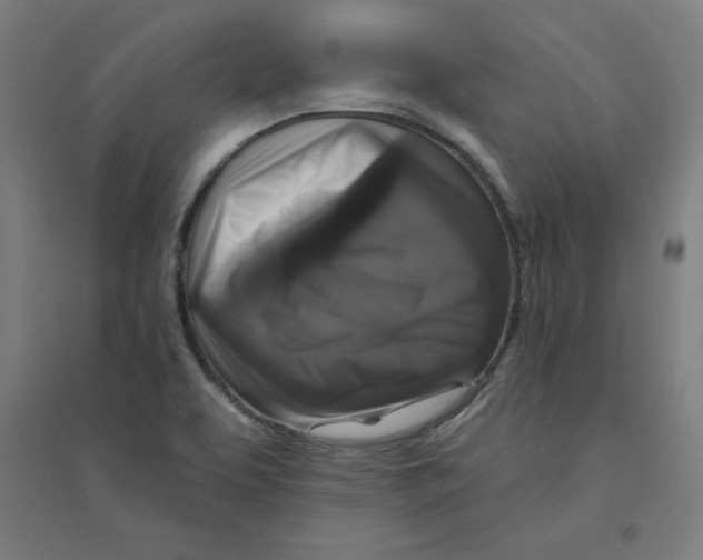 X0000094351463200711301350