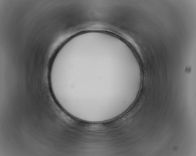 X0000094351464200711301350