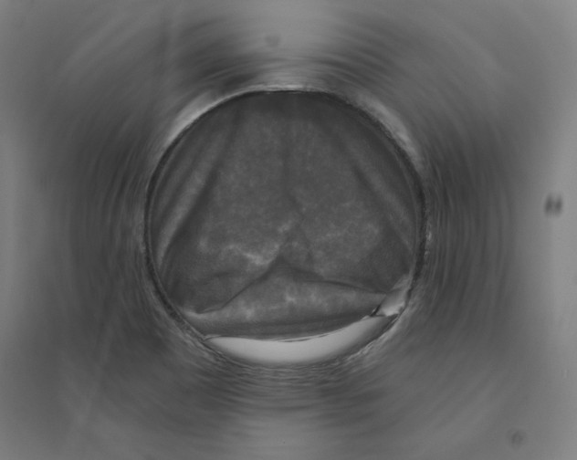 X0000094351465200711301350