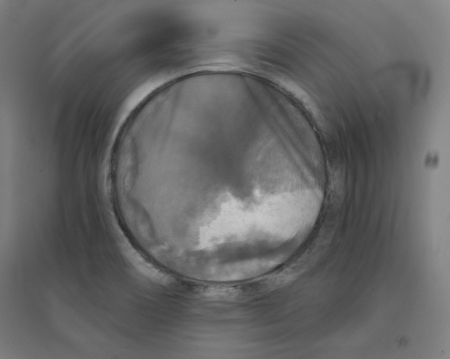 X0000094351466200711301350