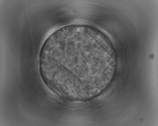 X0000094351467200711301350